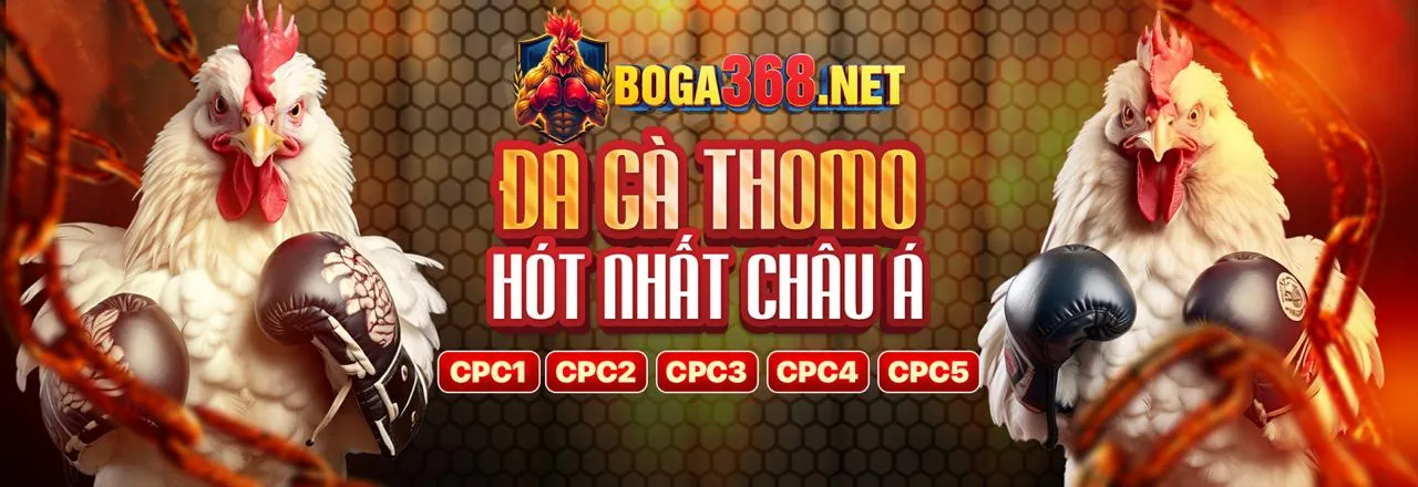 Đá gà trực tuyến kịch tính tại 678win chính thức